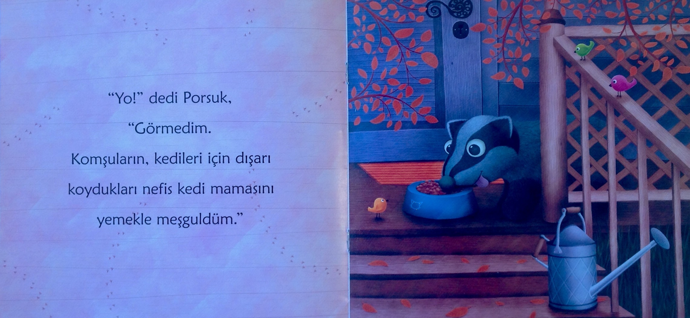Ayı Kim Çaldı ?