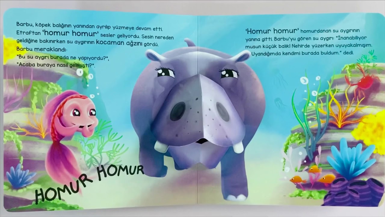 BAK BURADA KİM VAR -  GEZGİN BALIK BARBU 