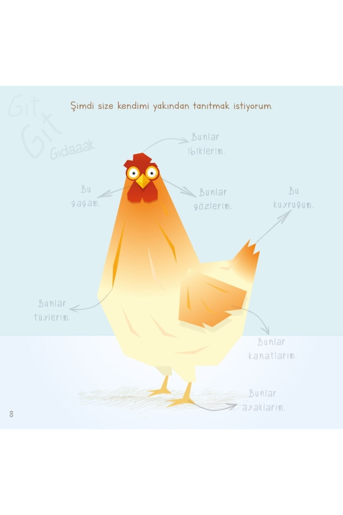 Civciv Nasıl Oluşur - Etkinlikli Hikaye