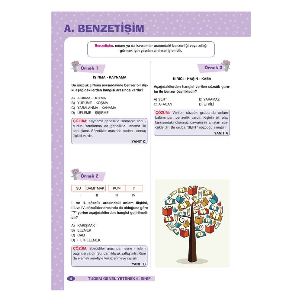 6. sınıf Genel Yetenek Kitabı