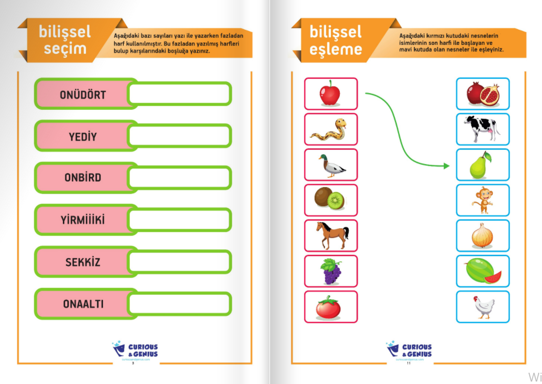 BİLİŞSEL BECERİLERİ A+B+C
